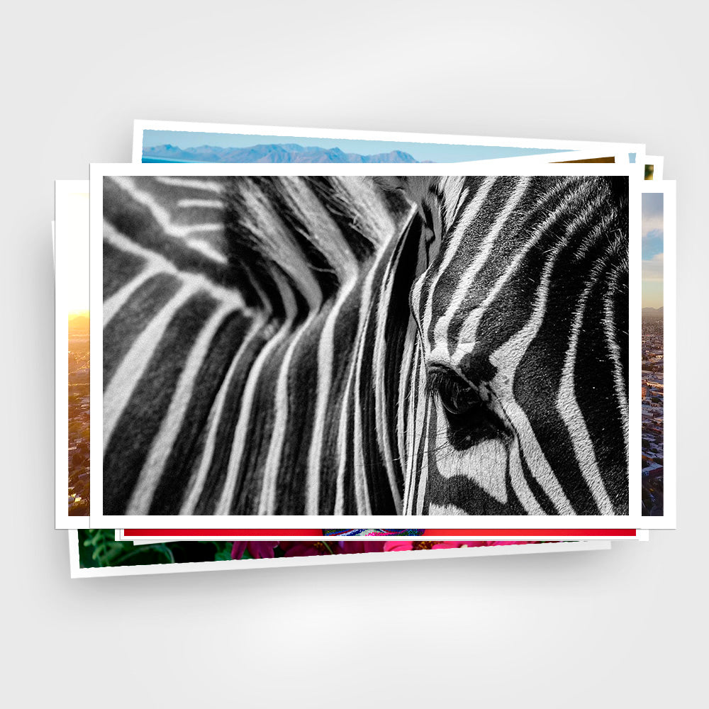 Print 24x30" (60x76cm)