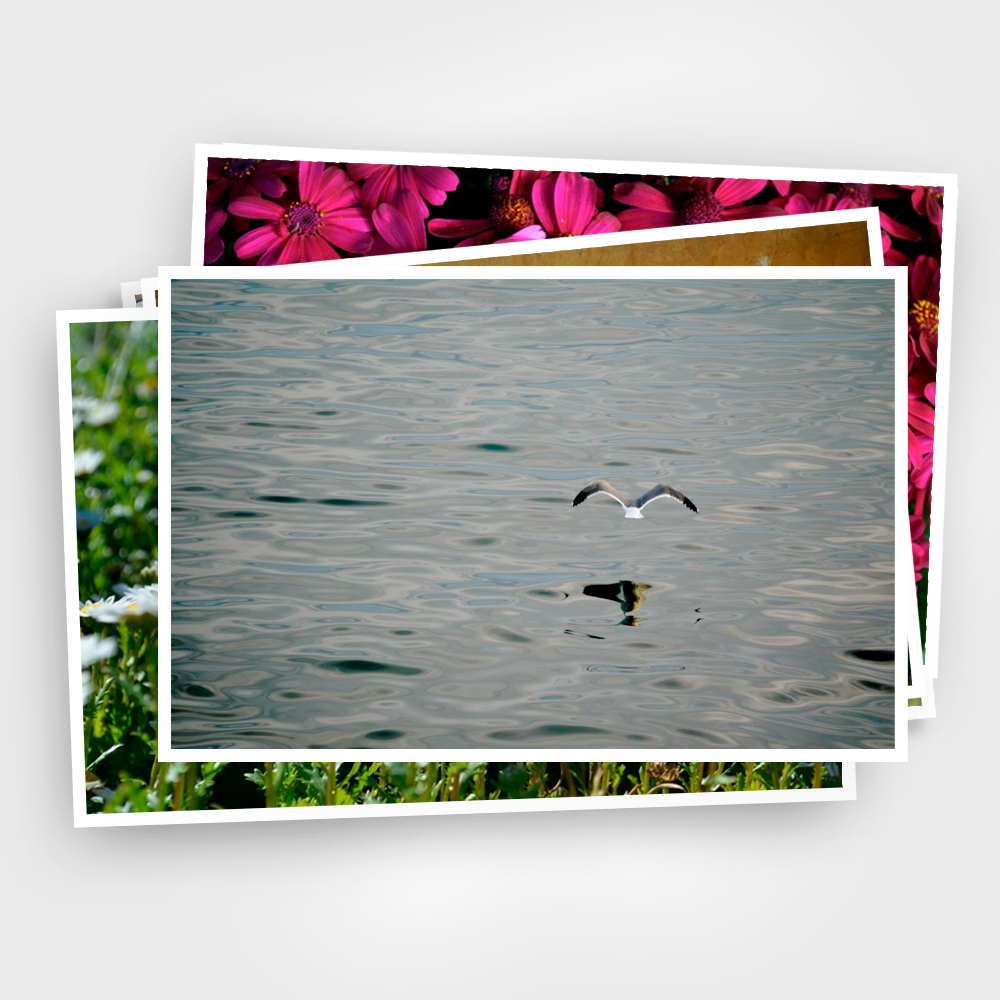 Print 6x8” (15x20 cm)
